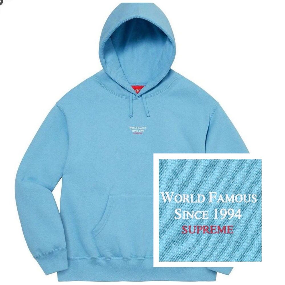 Supreme World Famous Micro Hoodie